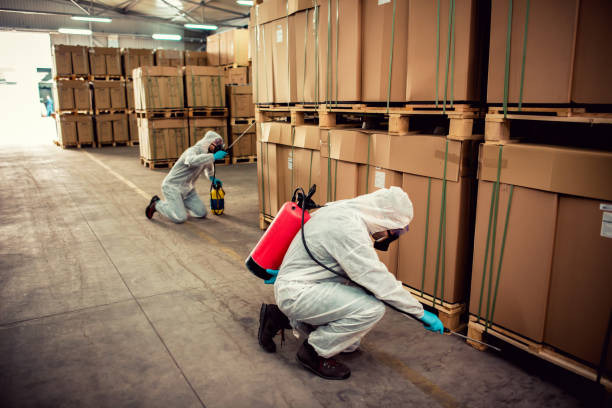 Best Best Pest Control Companies  in Elburn, IL
