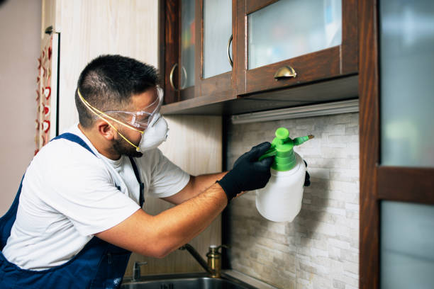 Best Affordable Pest Control Services  in Elburn, IL
