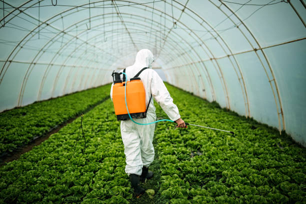 Best Local Pest Control Services  in Elburn, IL