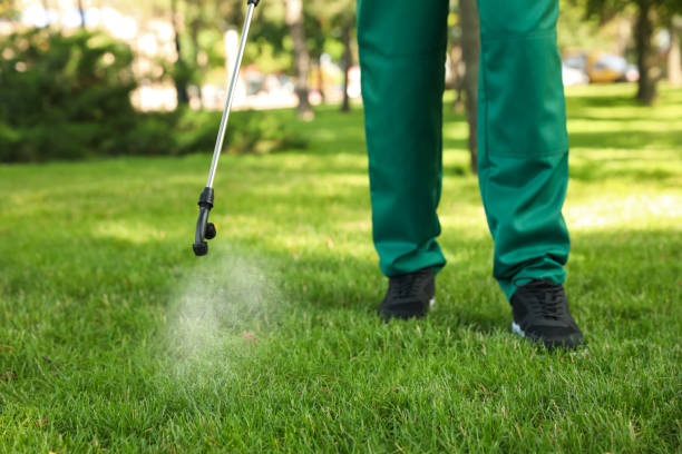 Best Ant Control Services  in Elburn, IL