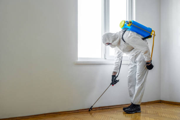 Best Commercial Pest Control Services  in Elburn, IL