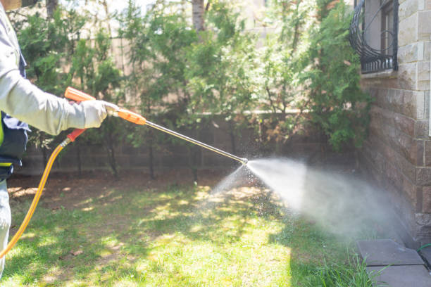 Best Mosquito Control Services  in Elburn, IL
