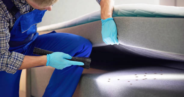Best Flea Control Services  in Elburn, IL