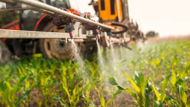 Best Local Pest Control Services  in Elburn, IL